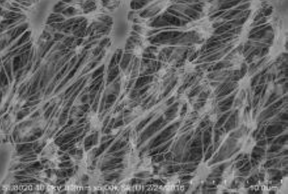 Les progrès de la technologie de traitement du film de vêtement PTFE