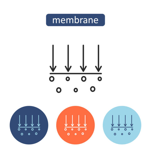 Applications des membranes poreuses micro dans la filtration de l'eau