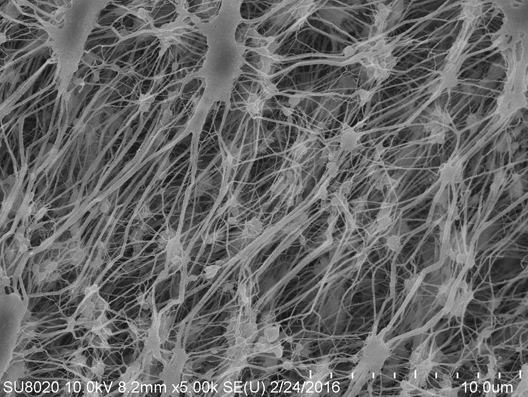 Propriétés et caractéristiques de la membrane de polytétrafluoroéthylène