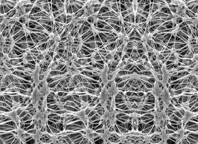 Membrane PTFE