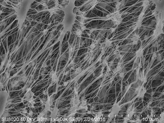 Membrane PTFE